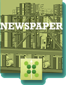 Newspaper